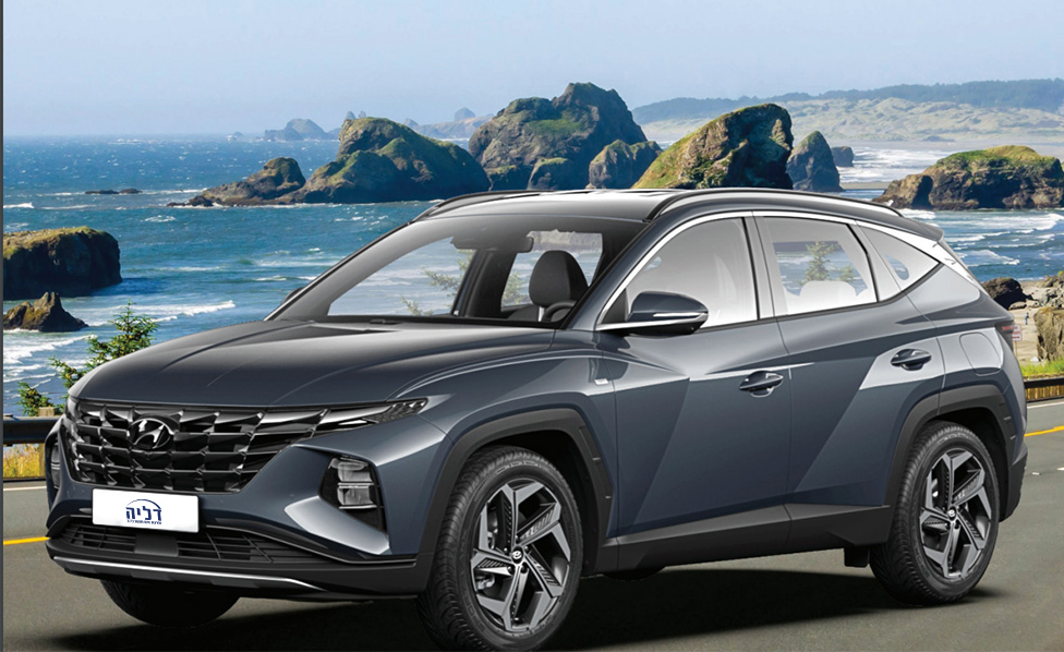 דליה פתרונות מימון ותפעול לרכב