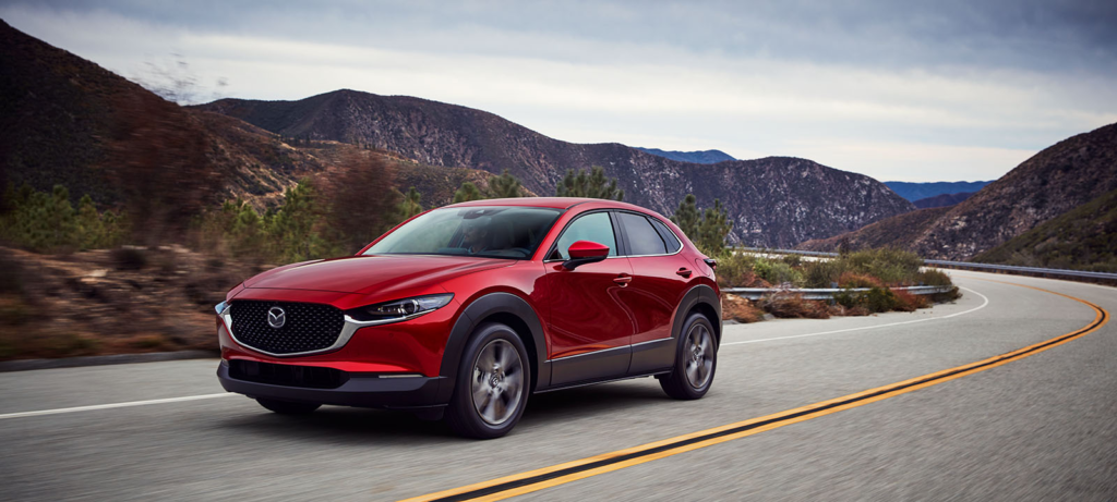 דליה פתרונות מימון ותפעול לרכב