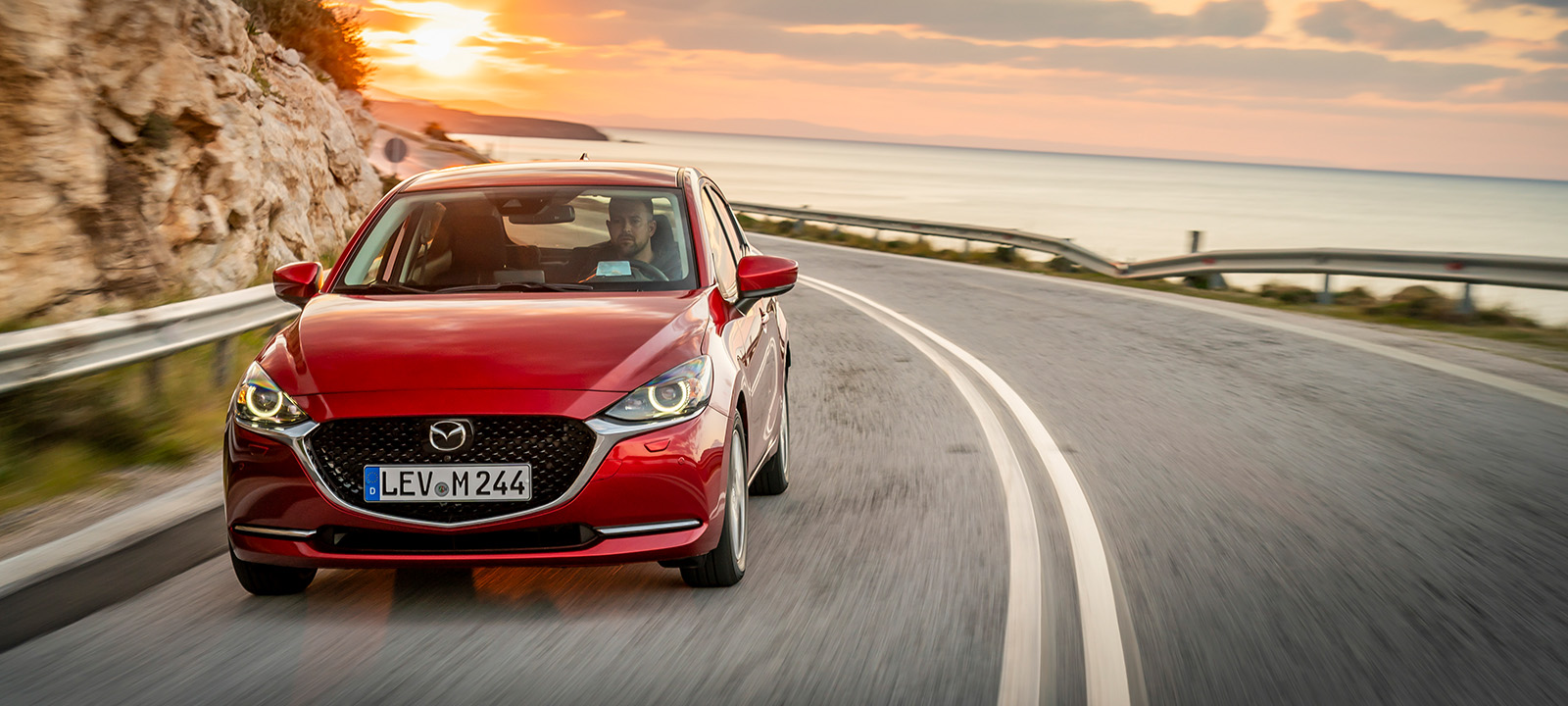 דליה פתרונות מימון ותפעול לרכב