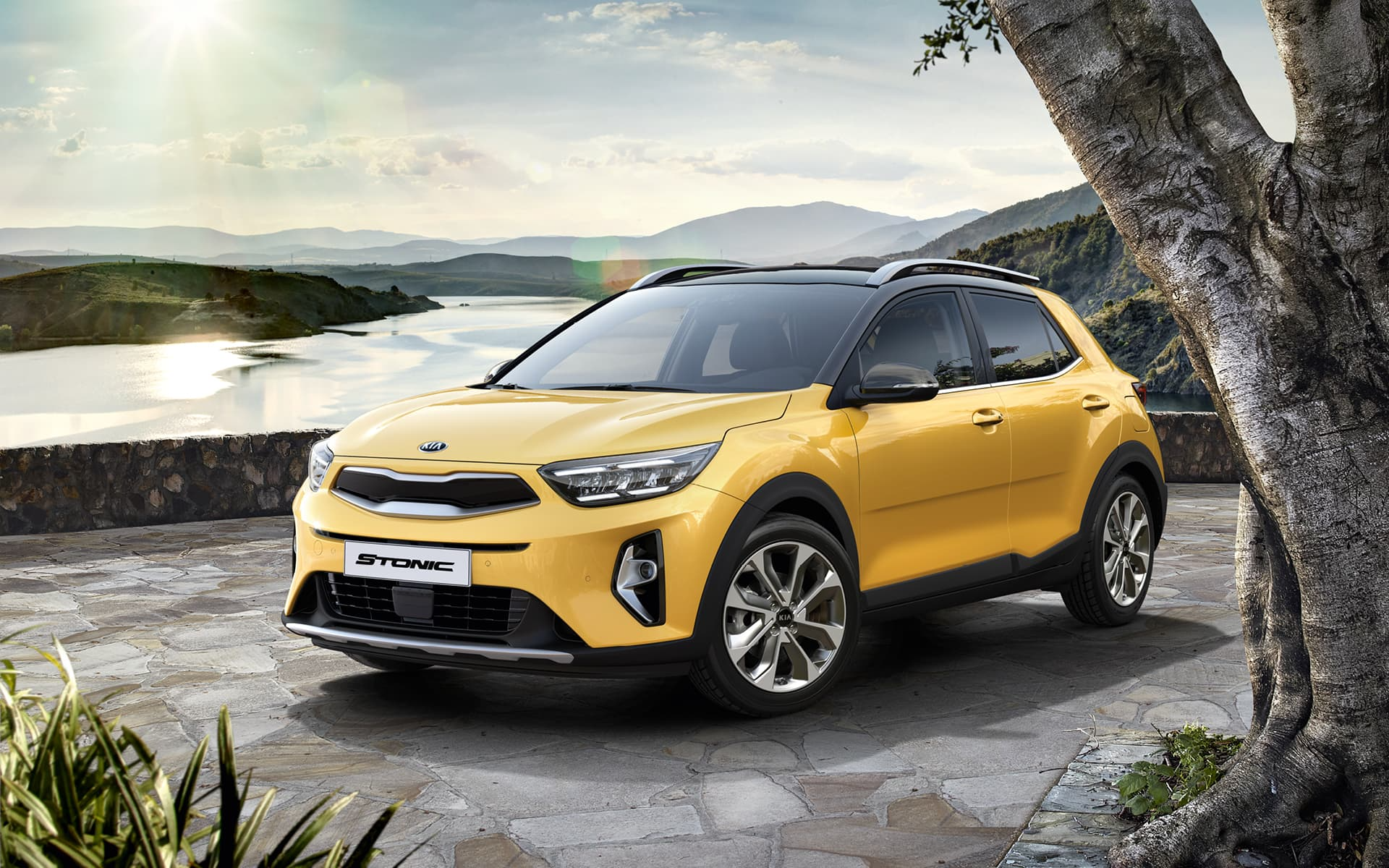 דליה פתרונות מימון ותפעול לרכב