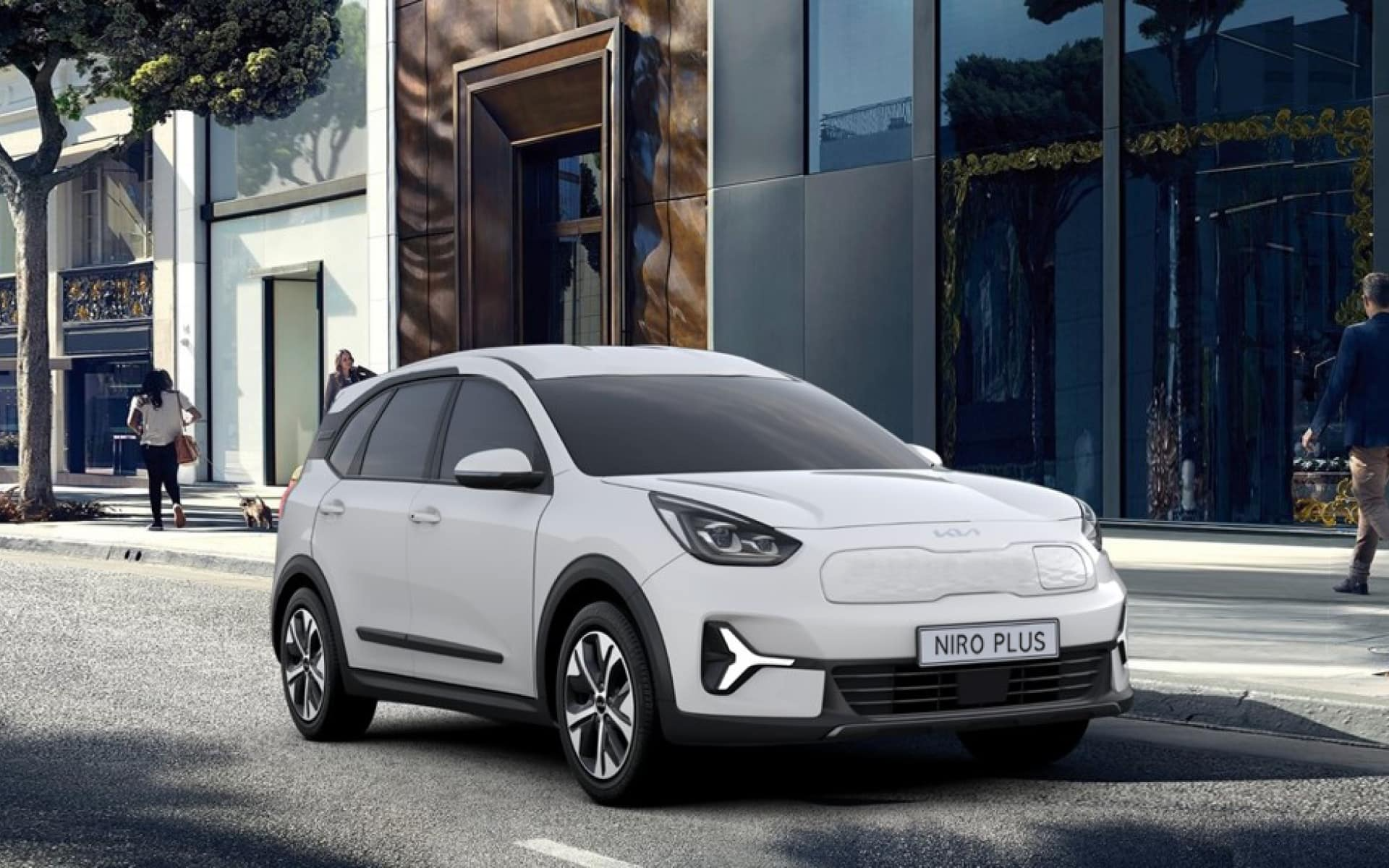 דליה פתרונות מימון ותפעול לרכב