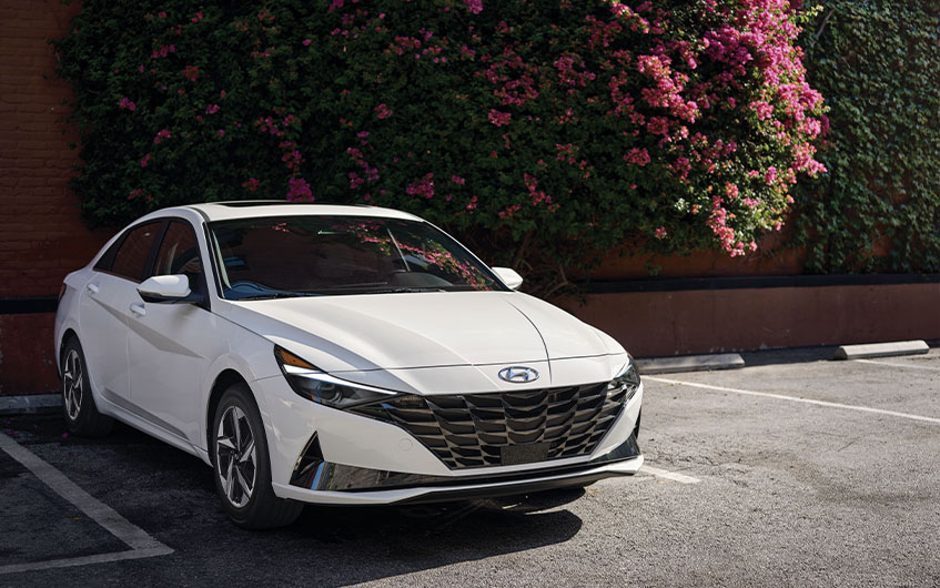 דליה פתרונות מימון ותפעול לרכב