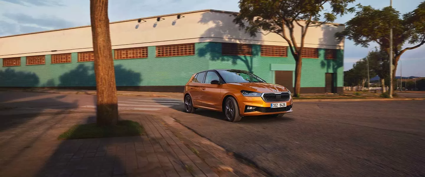 דליה פתרונות מימון ותפעול לרכב