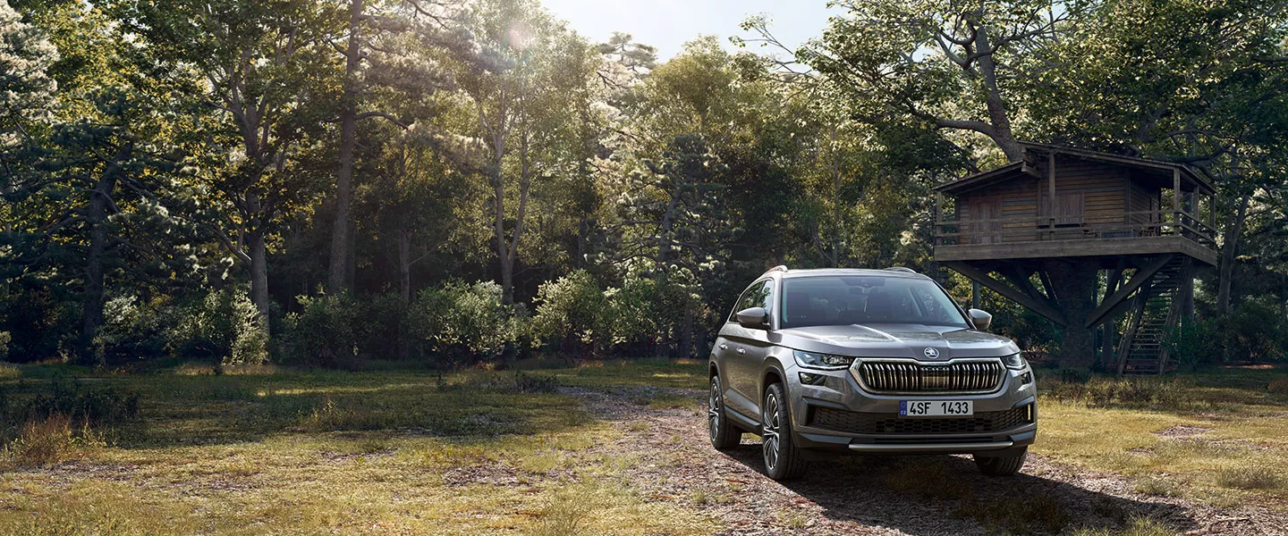 דליה פתרונות מימון ותפעול לרכב