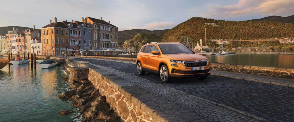 דליה פתרונות מימון ותפעול לרכב