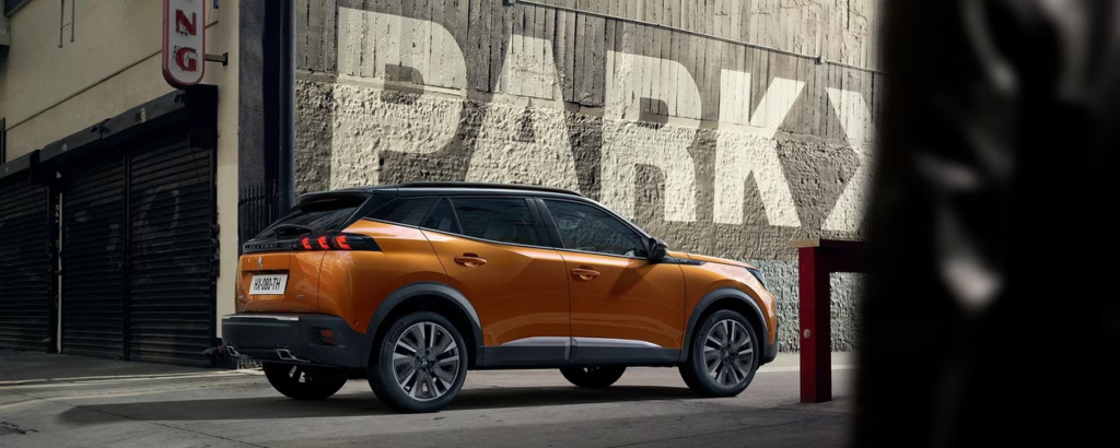 דליה פתרונות מימון ותפעול לרכב