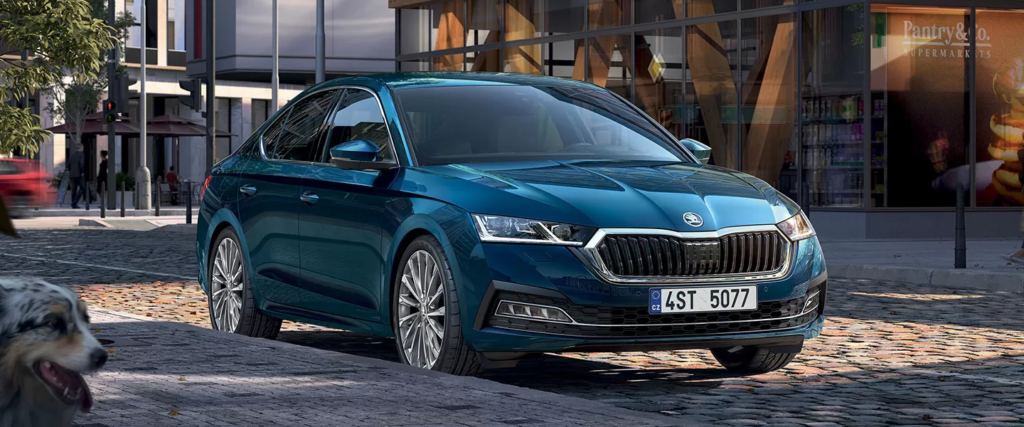 דליה פתרונות מימון ותפעול לרכב